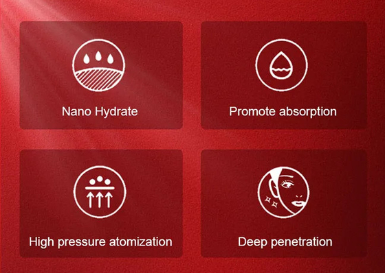 OEM ODM Oxygen Injection Spray Oxygen Injector 5V Deep Skin Moisture